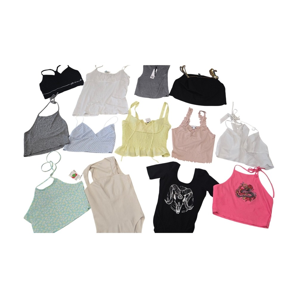 Lot of 13 Womens Tops Bundle Brandy Melville PINK BP Garage Size L Mixed